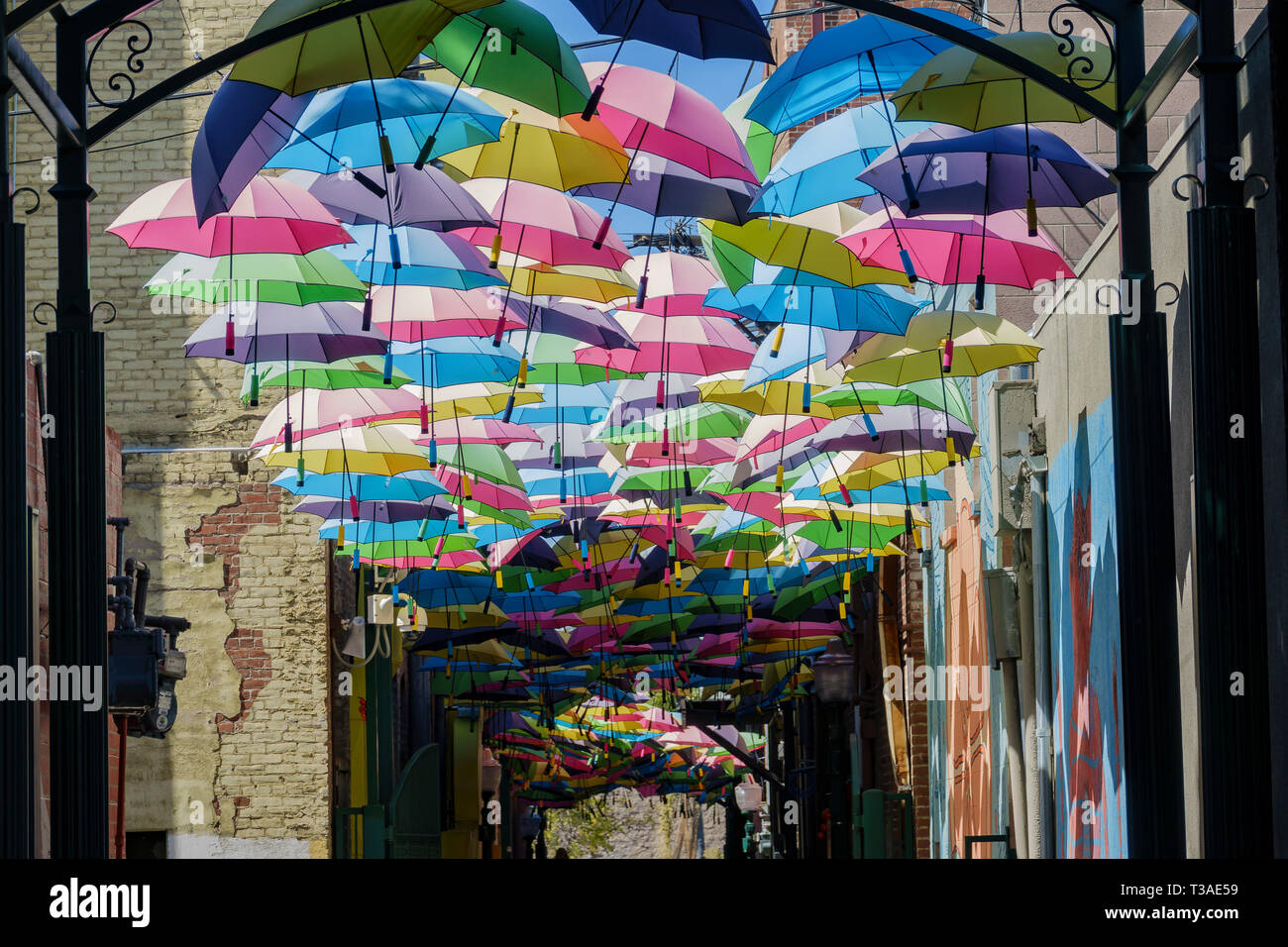 Colorful umbrellas hanging in the famous Orange Street Alley at