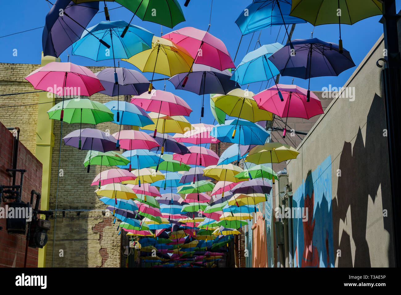Colorful umbrellas hanging in the famous Orange Street Alley at