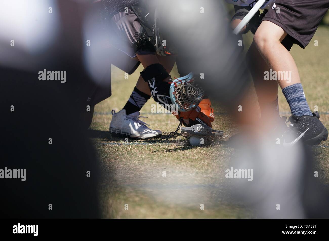 Lacrosse players battle for the ball on the ground Stock Photo Alamy