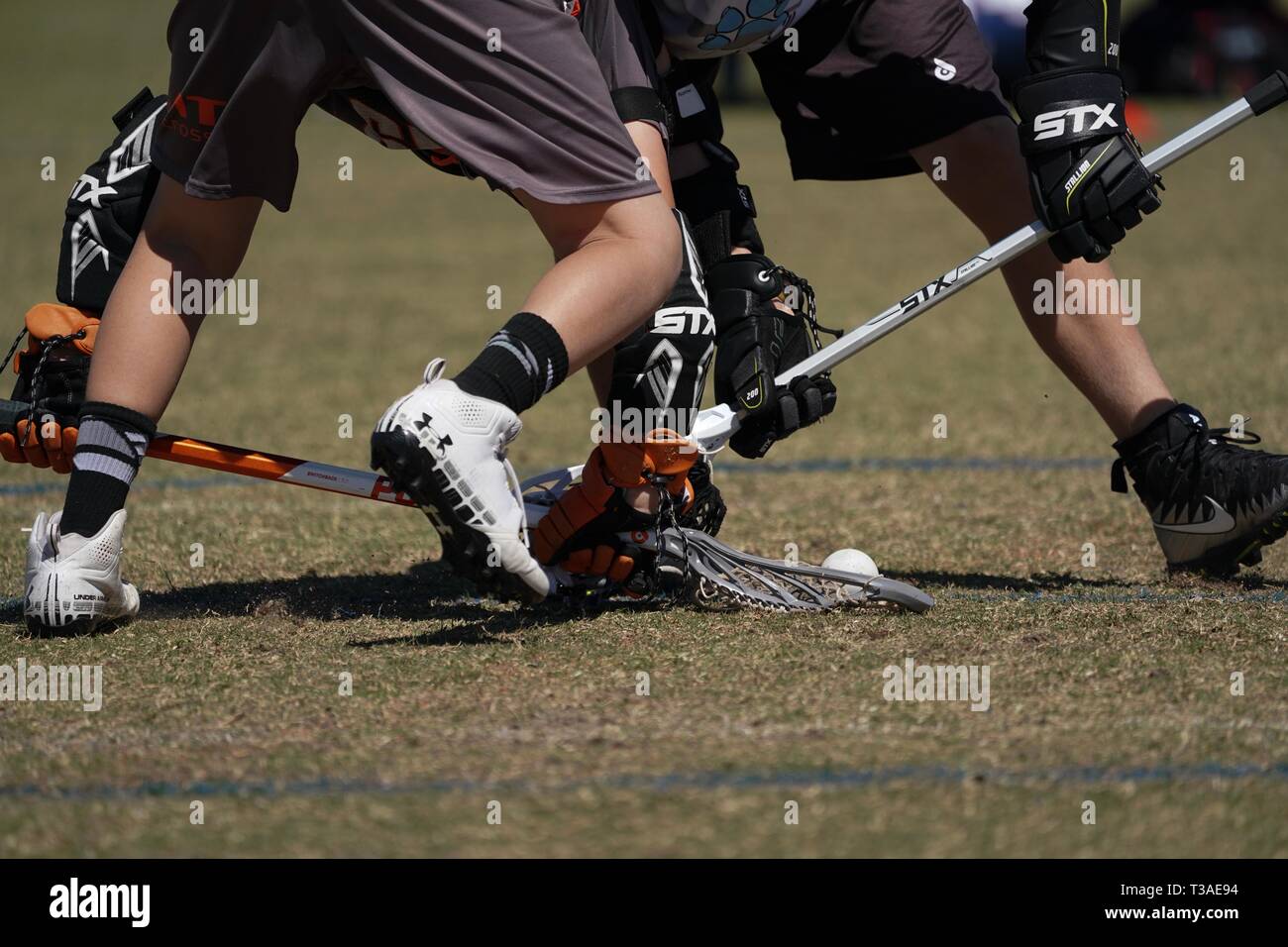 Ground ball hires stock photography and images Alamy