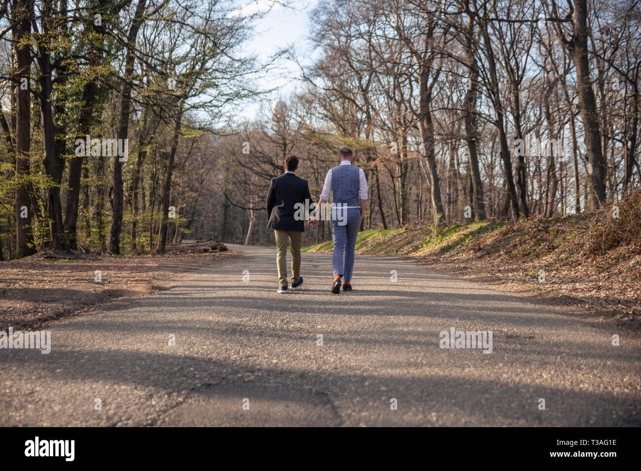 rear view, two gay man walking in forest, on asphalt road. Together holding hands. Their puppy dog walking with them too close by. Stock Photo