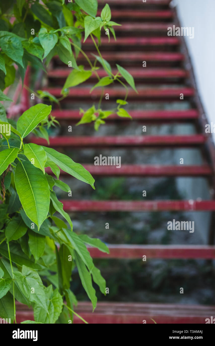 Nature can grow even amidst manmade objects. We must never take our