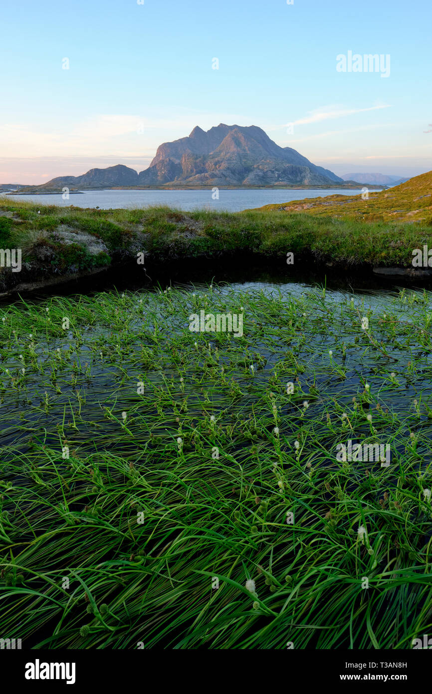 The landscape and flora of Nord Heroy looking across to Donnmannen Heroy, Nordland Helgeland Norway. Stock Photo