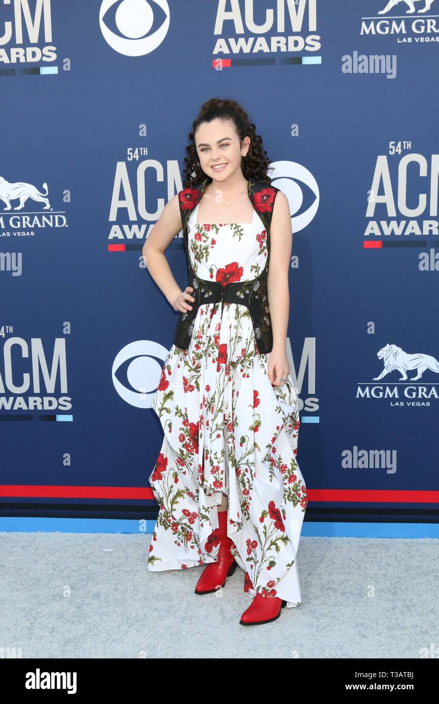 Las Vegas, NV, USA. 7th Apr, 2019. Chevel Shepherd at arrivals for 54th