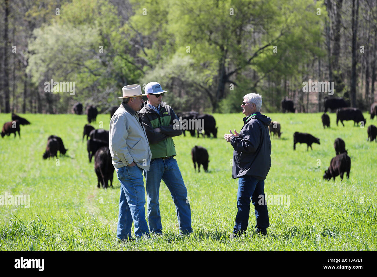 Bill Ham High Resolution Stock Photography and Images Alamy