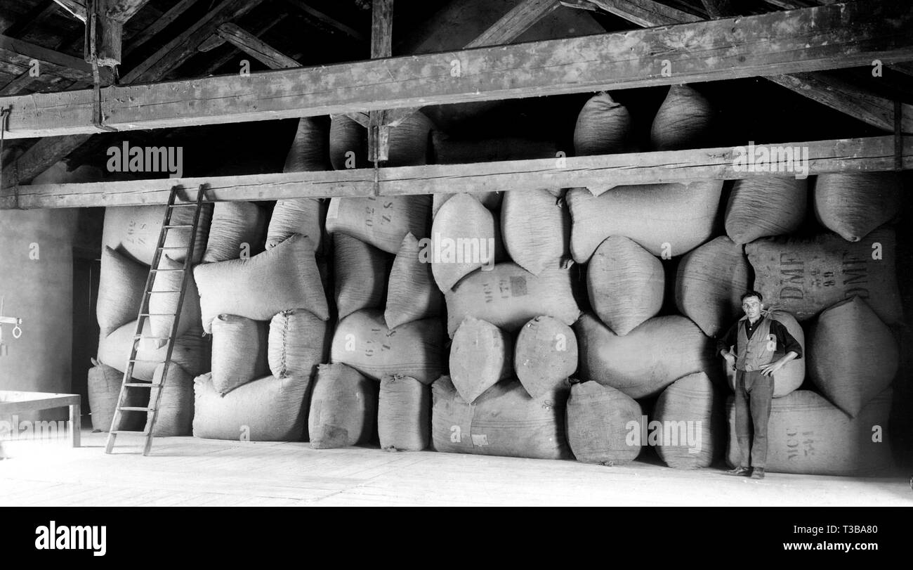 sacks of silkworms Stock Photo
