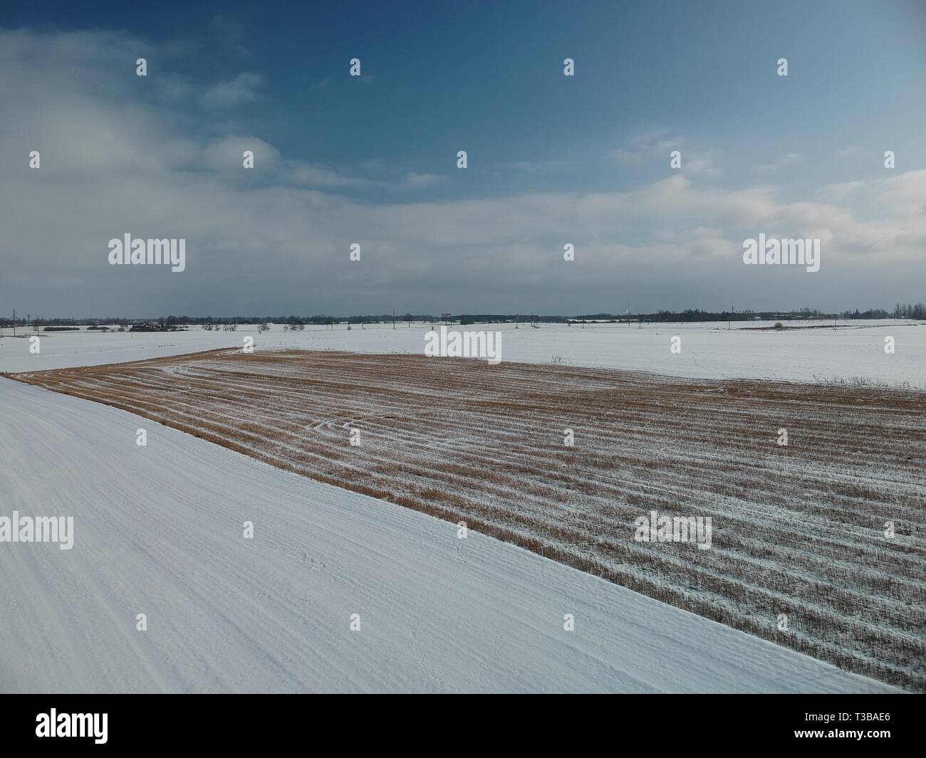 Winter farmland field with wheat stubble, aerial view Stock Photo