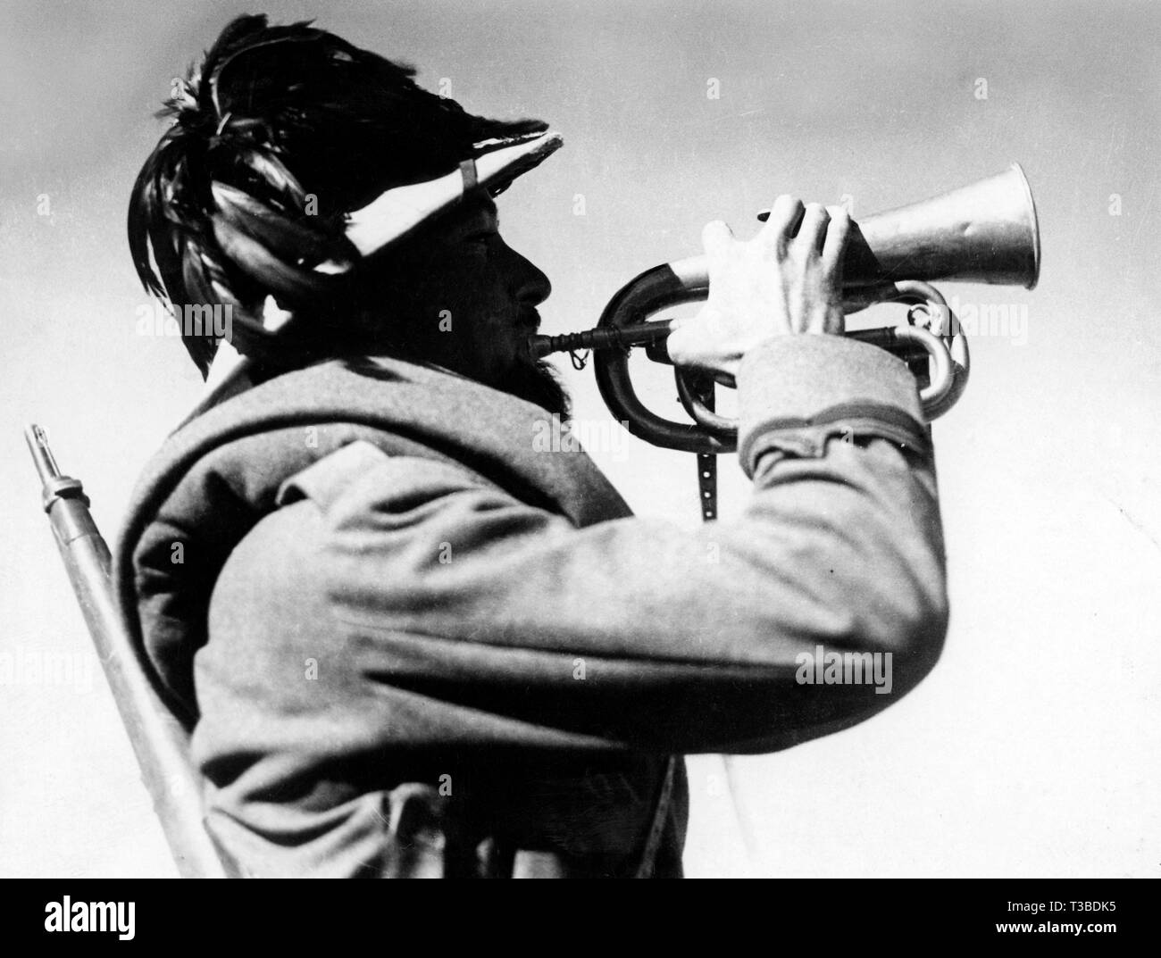 bersagliere with trumpet, 1930-40 Stock Photo