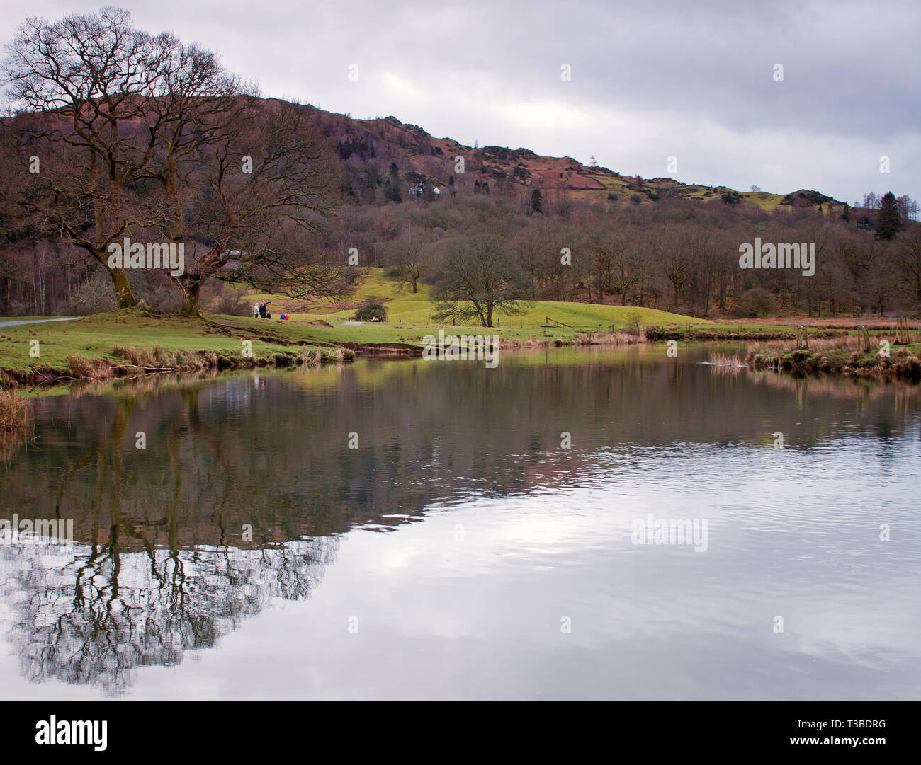 Looking across Elterwater, early in Spring Stock Photo