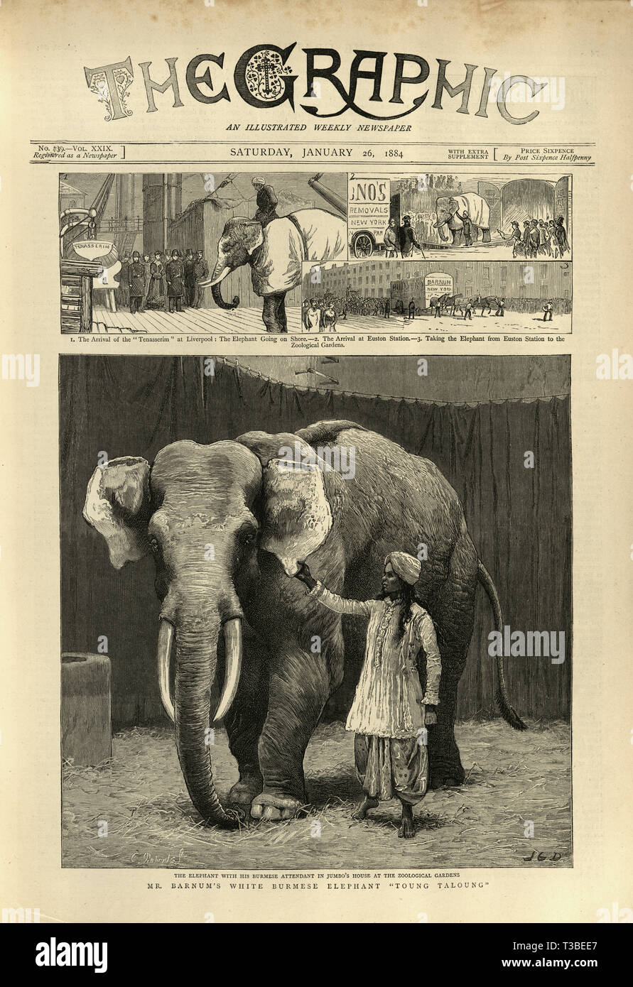 Frontpage of the Graphic newspaper for 26th January 1884. Mr Barnum's