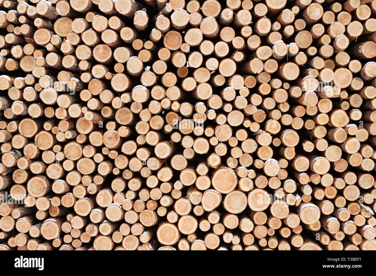 Stack of Wood Stock Photo Alamy