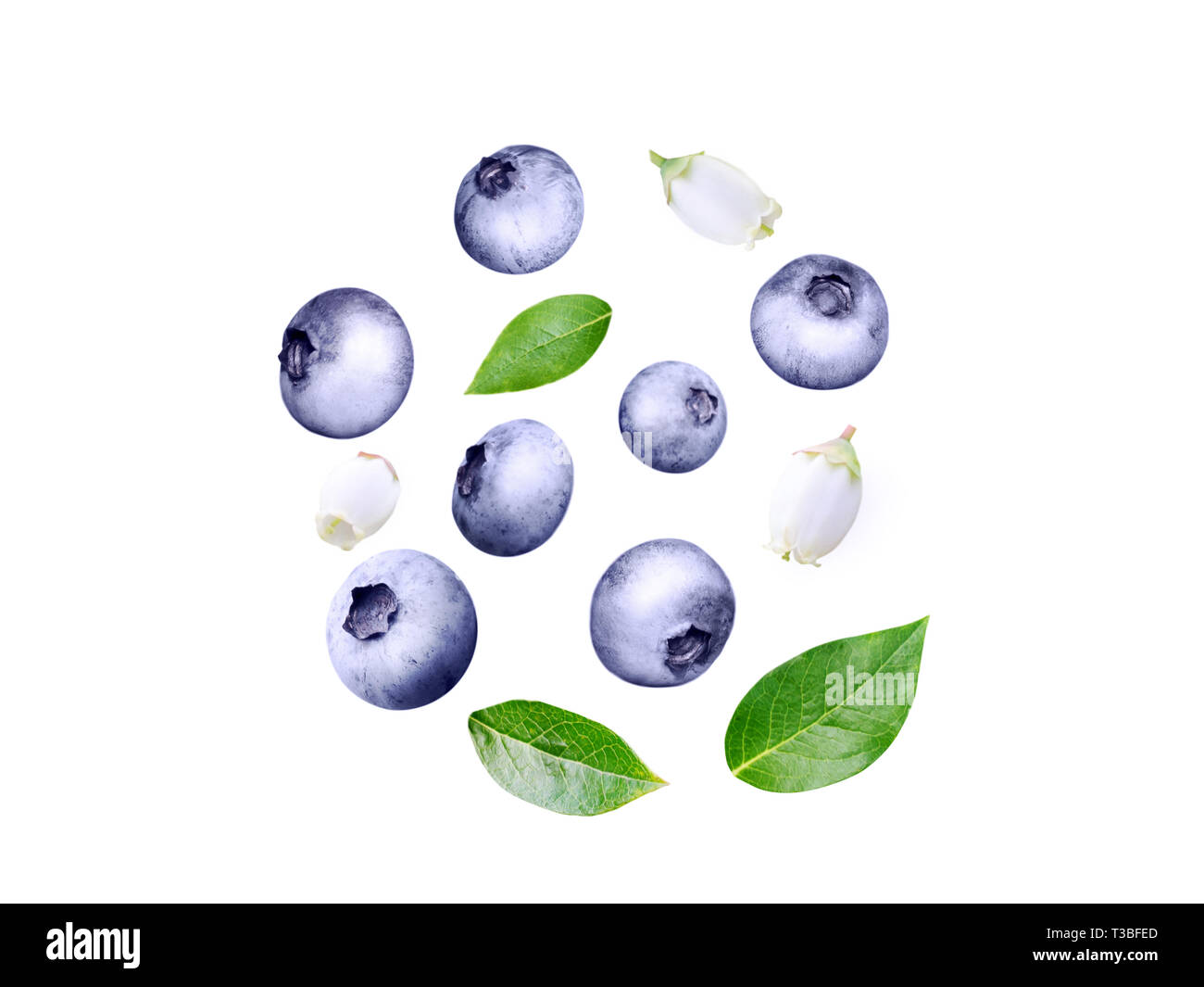 Flying Blueberry Swirl Ripe And Juicy Purple Berries Fresh - 