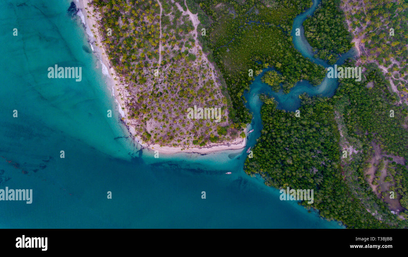 mangroove swamp at Kanga beach, mafia island Stock Photo