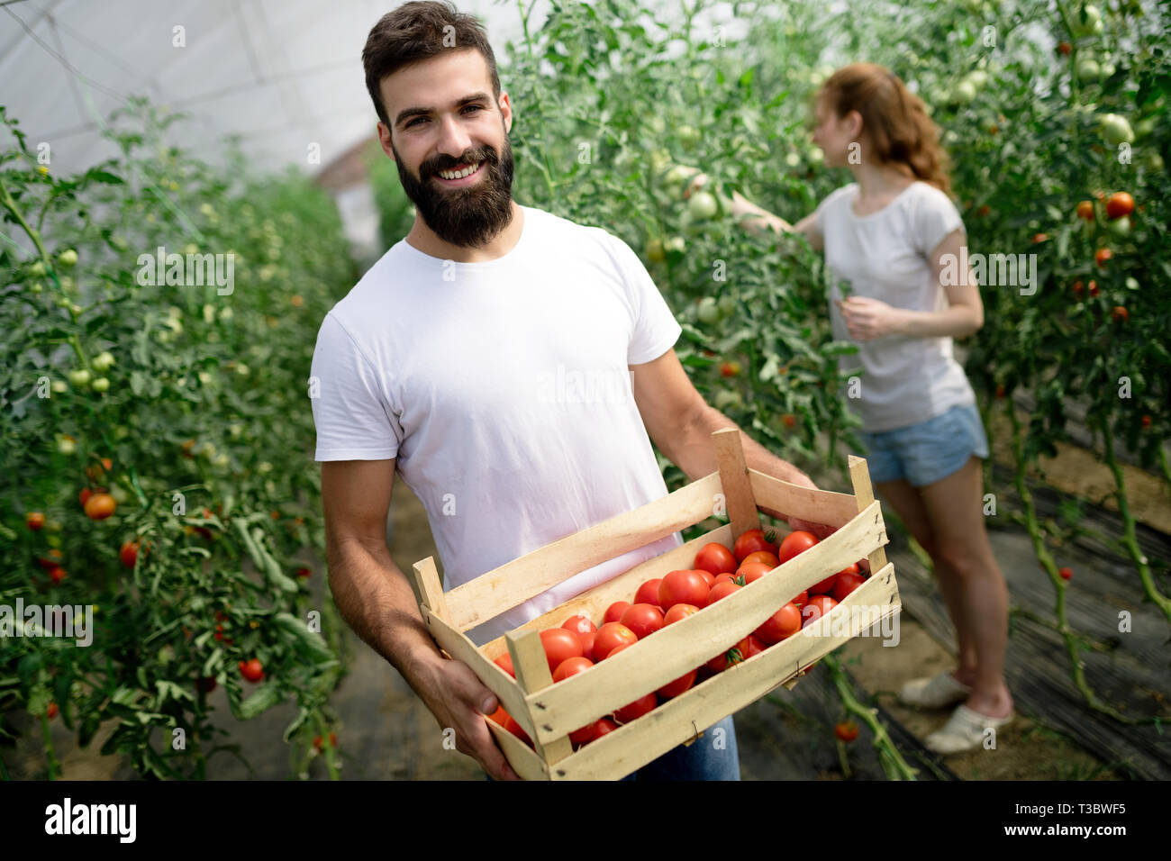 Young couple farming vegetables Stock Photo - Alamy