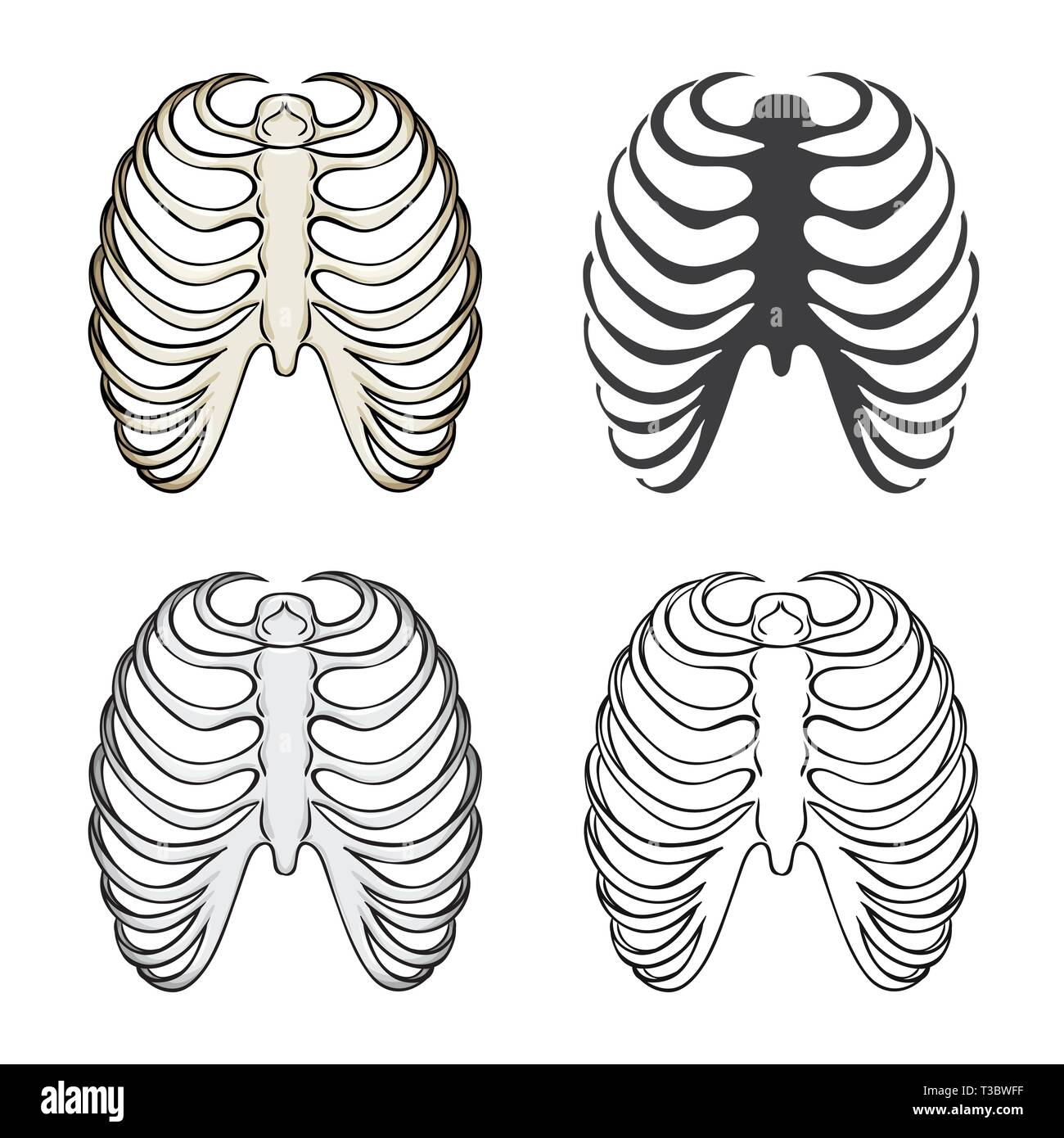 Top 27+ Stock Photos the breastbone is blank to the ribs Full HD, 2k, 4k Top 27+ Stock Photos the breastbone is blank to the ribs Full HD, 2k, 4k