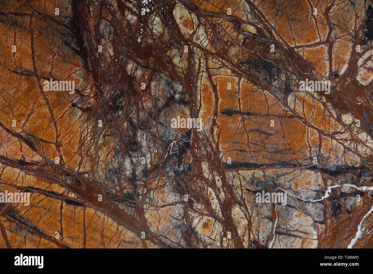 Background natural stone marble brown with interesting dark streaks is called Bidasar Brown. Stock Photo