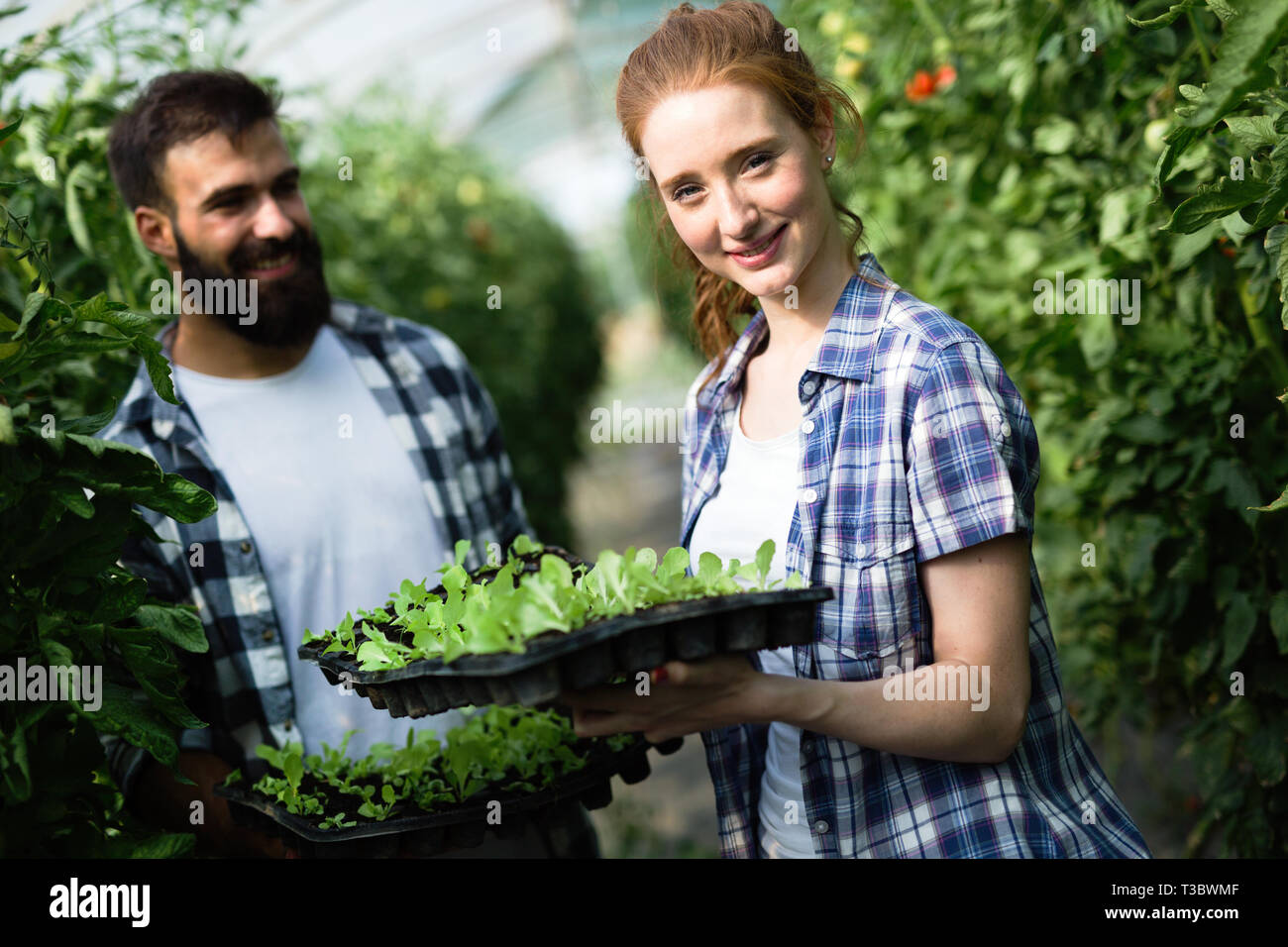 Two young smiling people working in greenhouse with sprouts Stock Photo ...