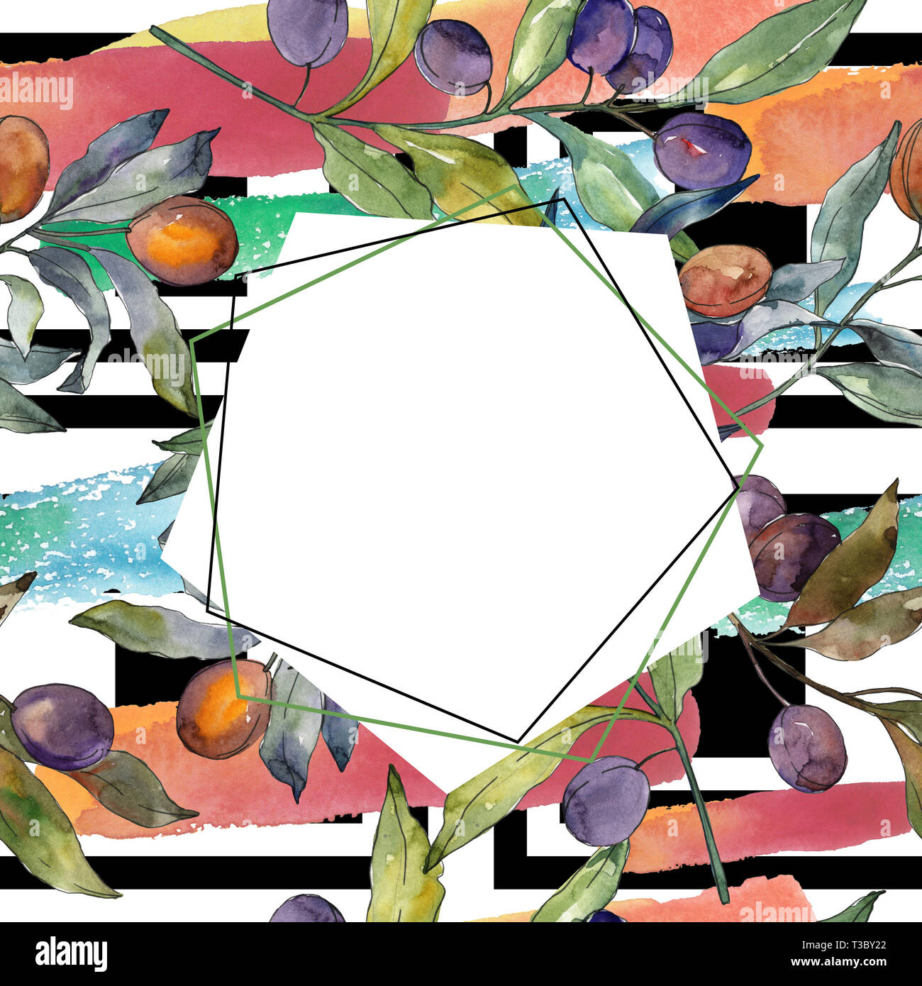 Olive branch with black and green fruit. Watercolor background ...