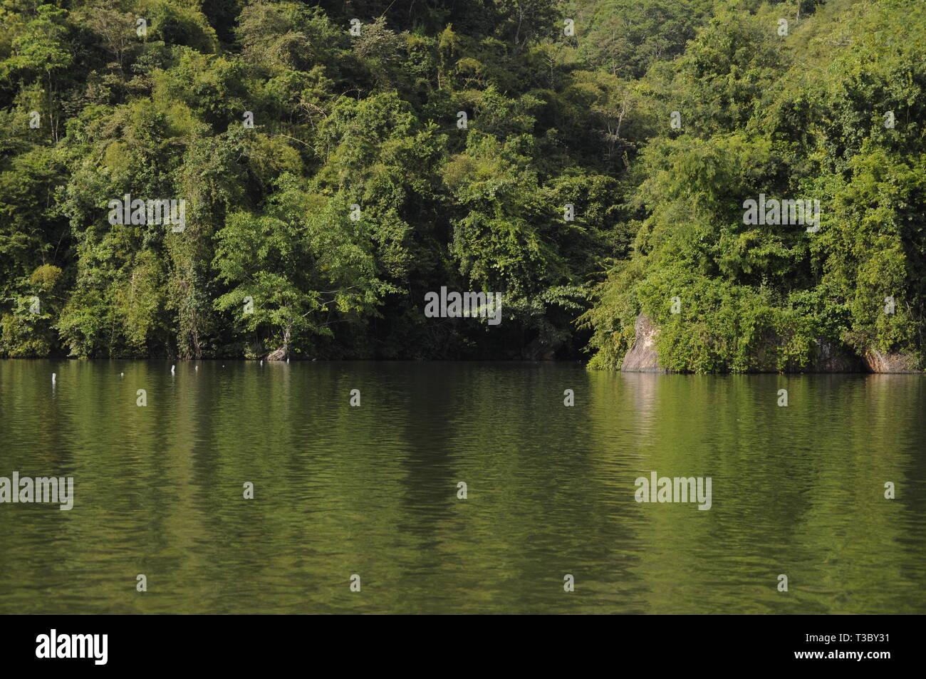 The maman's vilage dam to the lake lanscape Stock Photo