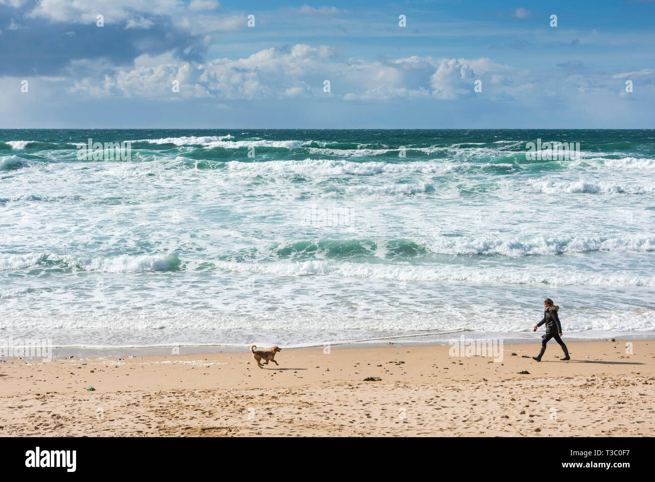 Woman walking her dog on the beach hi-res stock photography and images ...