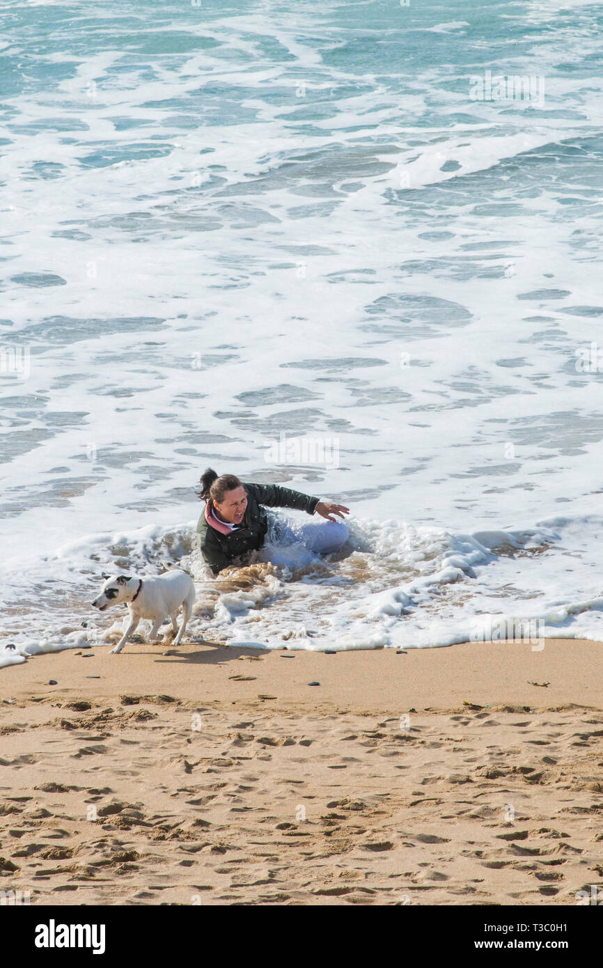 A dog walker falling over into the sea on Fistral Beach in Newquay in Cornwall. Stock Photo