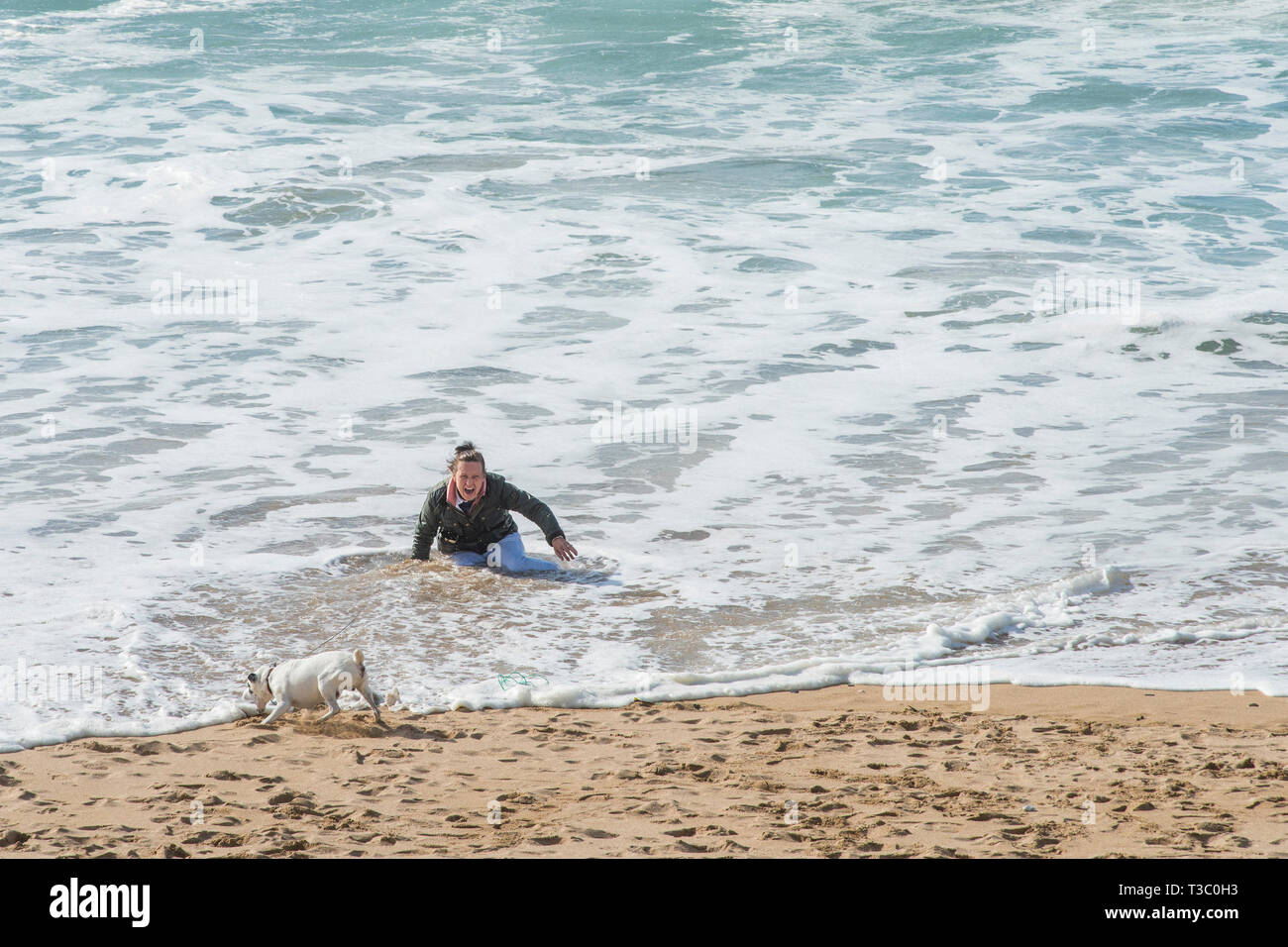 A dog walker falling over into the sea on Fistral Beach in Newquay in Cornwall. Stock Photo