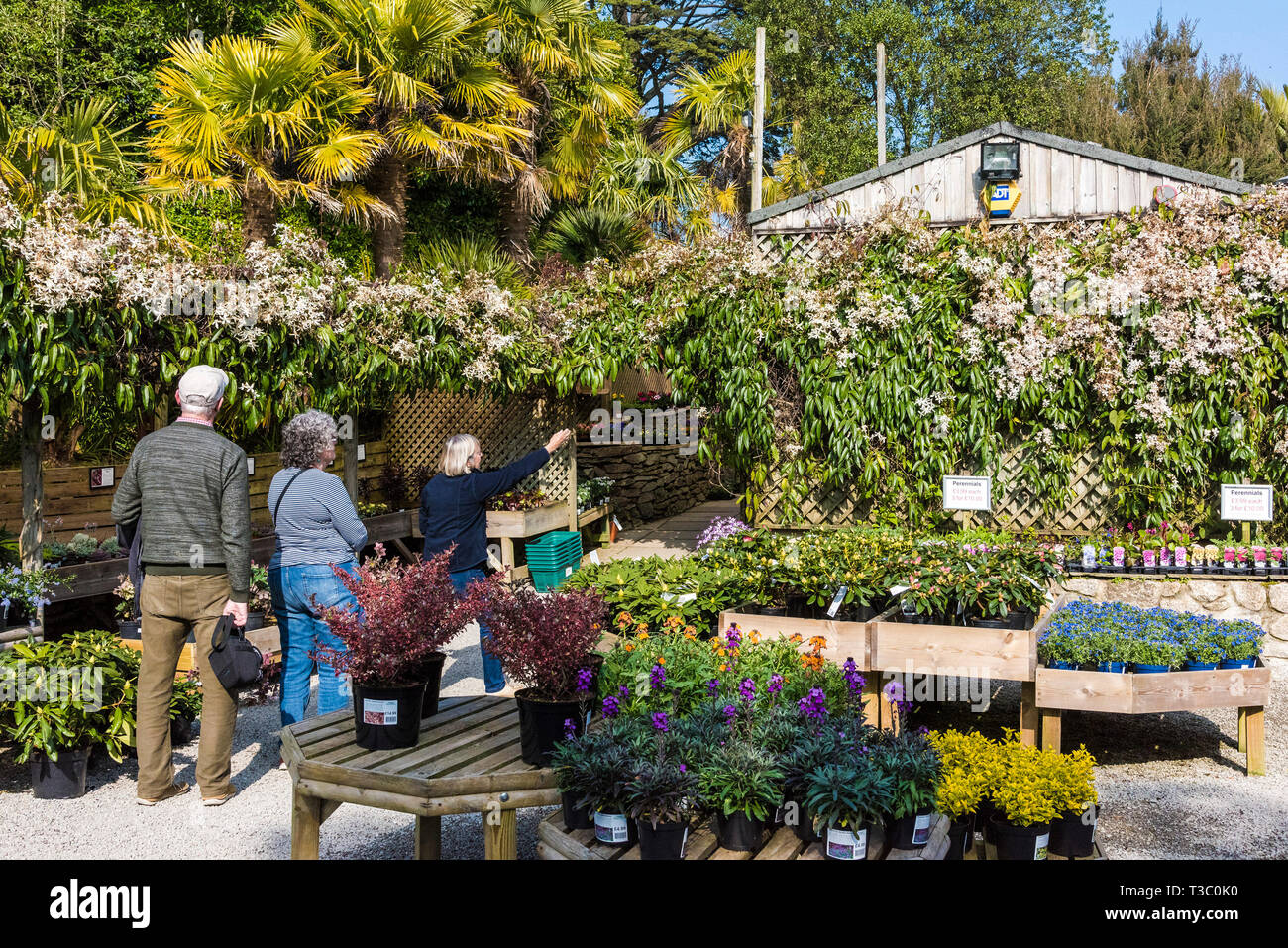 Shopping at a garden centre hi-res stock photography and images - Alamy