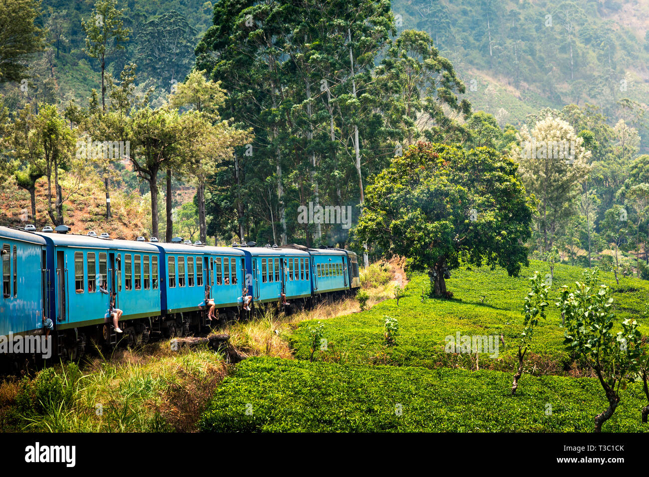 Scenic blue train slowly going through Sri Lanka highlands Stock Photo