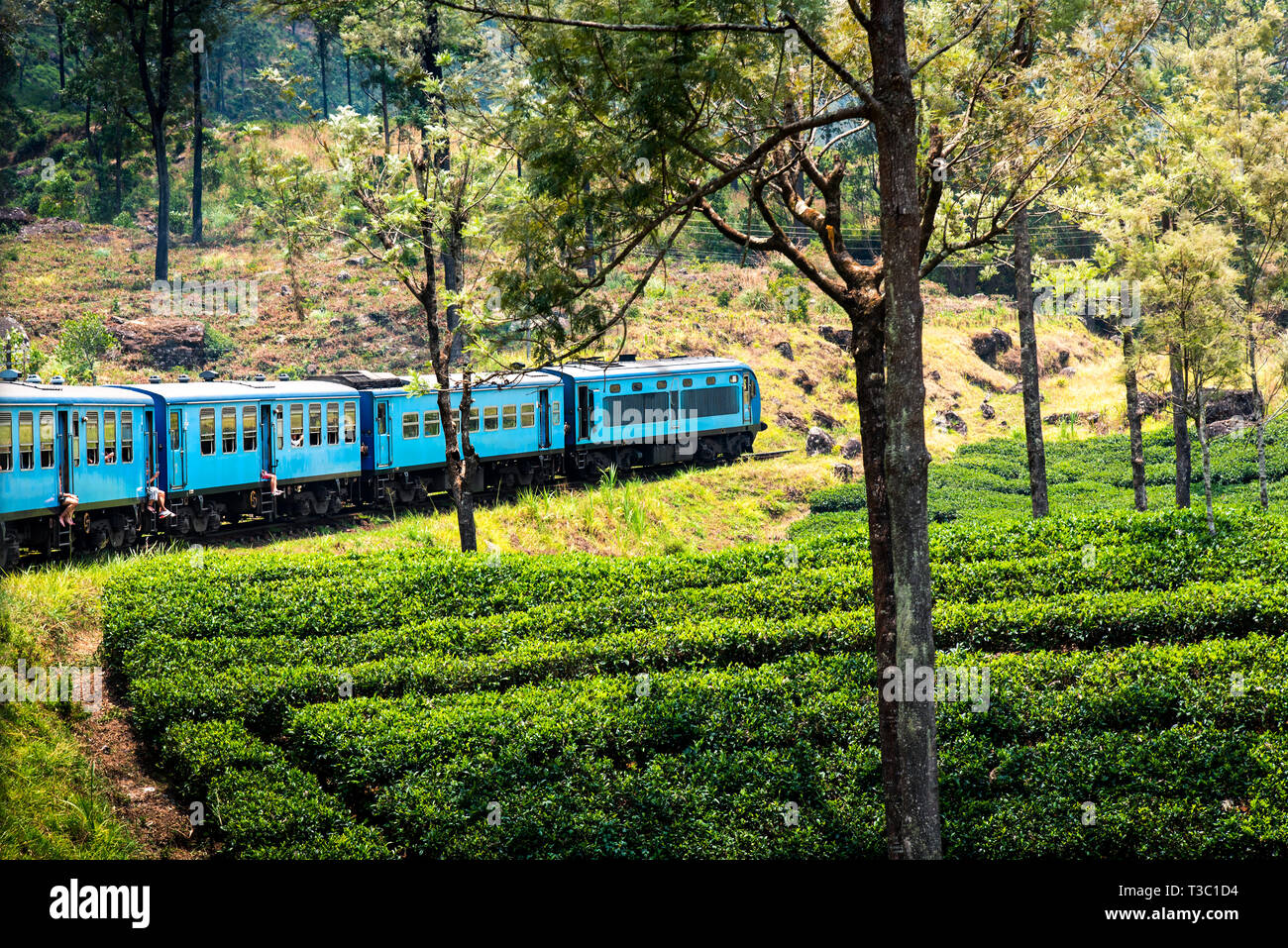 Scenic blue train slowly going through Sri Lanka highlands Stock Photo