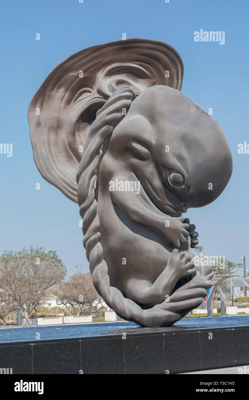 The Miraculous Journey (2005 to 2013), a series of 14 bronze sculptures by artist Damien Hirst,  Sidra Medical and Research Center, Doha, Qatar Stock Photo
