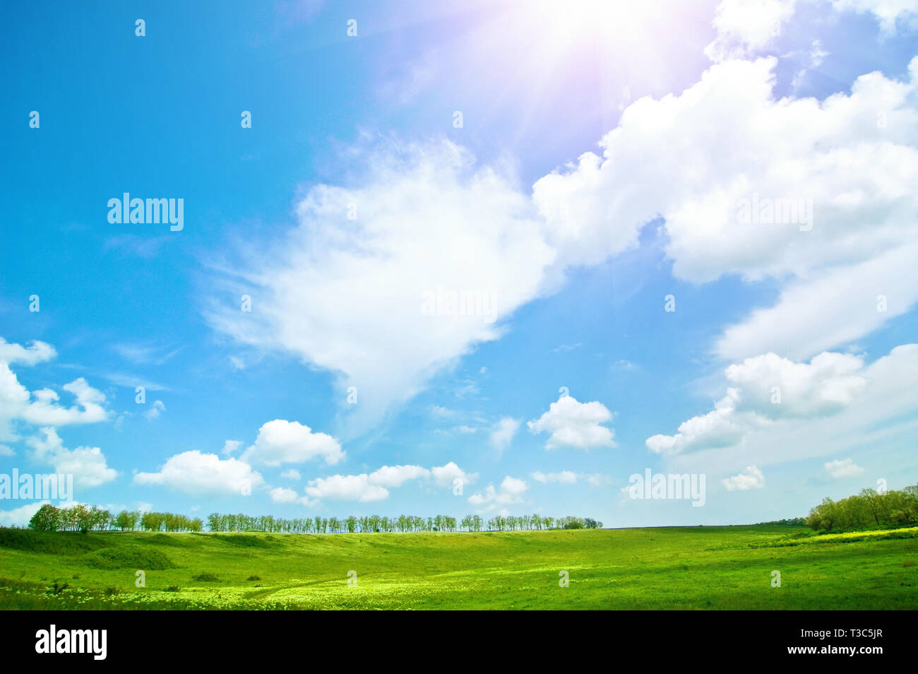 Field urban landscape hi-res stock photography and images - Alamy