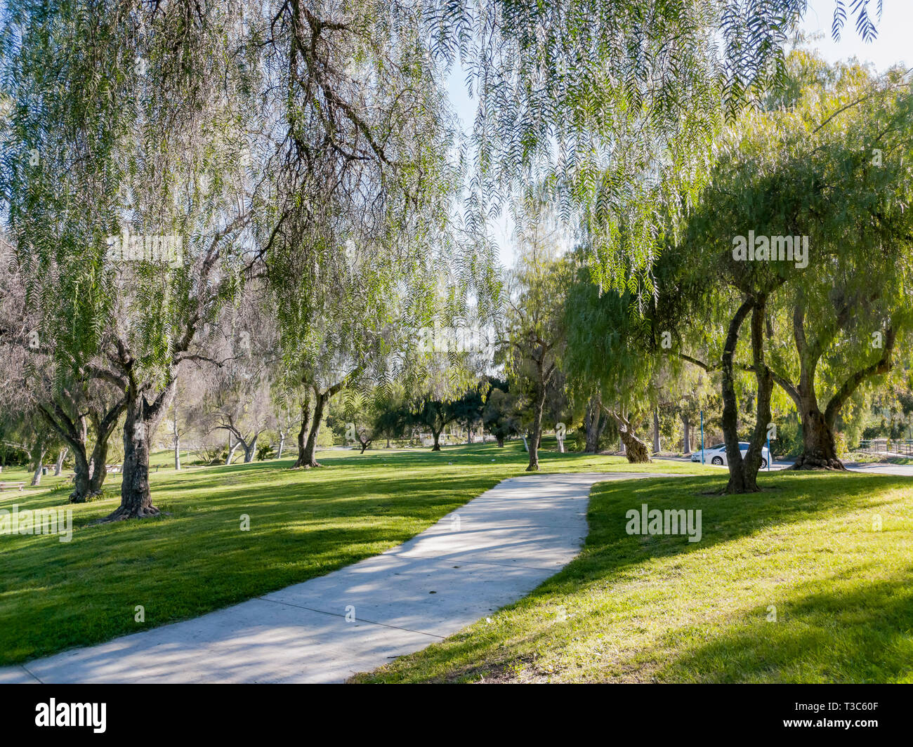 Beautiful nature landscape around Peter F. Schabarum Regional Park at