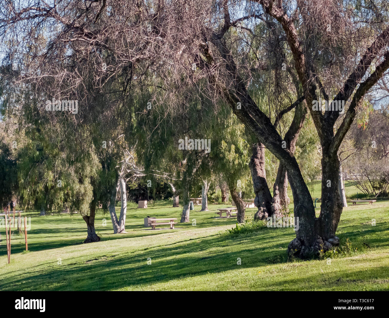 Beautiful nature landscape around Peter F. Schabarum Regional Park at