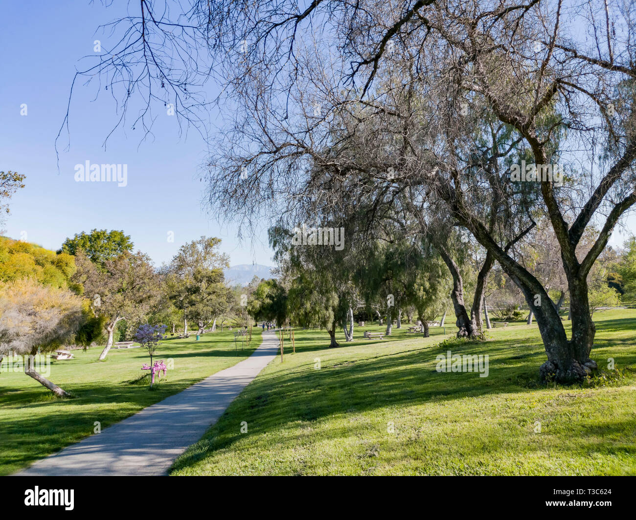 Beautiful nature landscape around Peter F. Schabarum Regional Park at