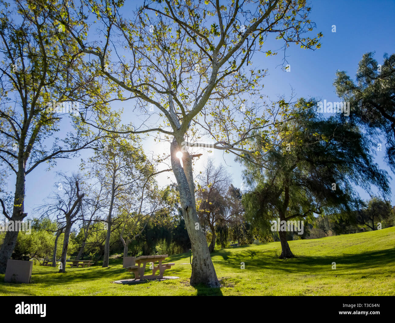 Beautiful nature landscape around Peter F. Schabarum Regional Park at