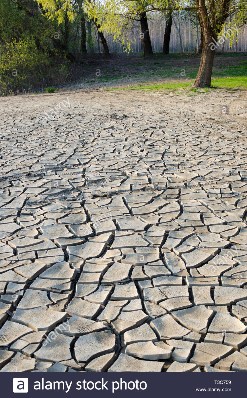 Salinity Soil Stock Photos & Salinity Soil Stock Images - Alamy