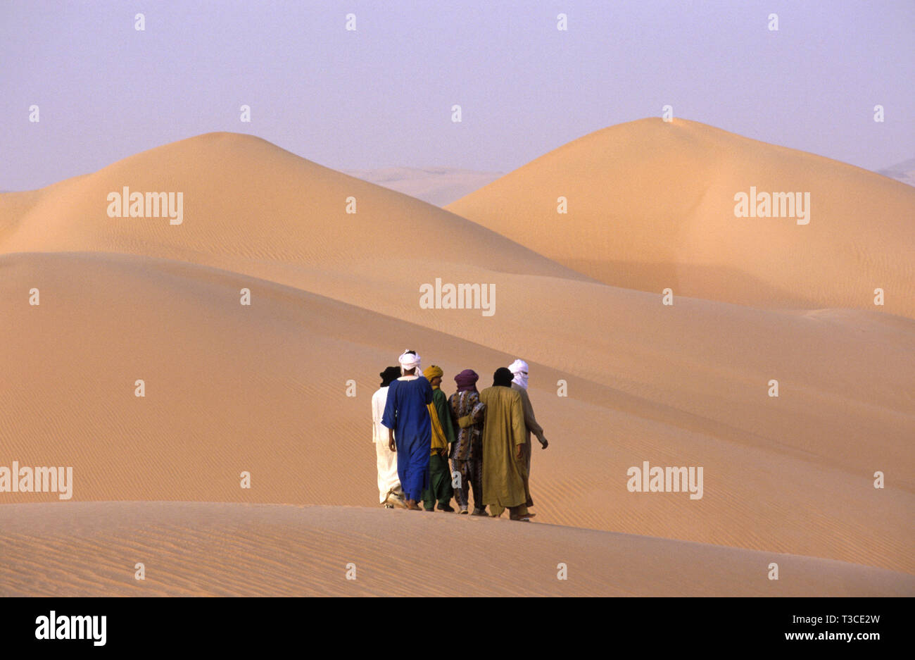 Group of Tuareg men hiking through the Sahara desert, Algeria Stock Photo