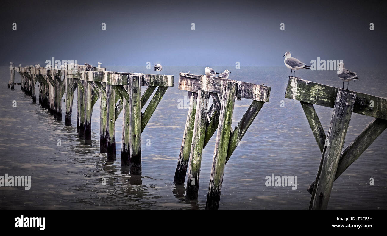 Coden beach hires stock photography and images Alamy