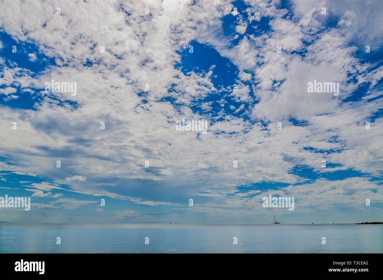 White, fluffy clouds create a pleasant backdrop for a sunny day at