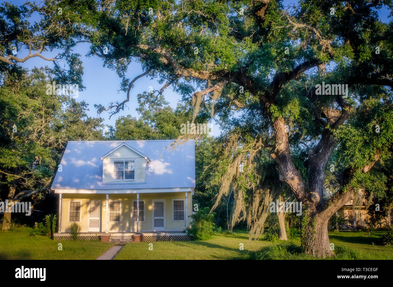 Spanish moss hangs from the trees in front of a house on Shell Belt Road in Bayou La Batre