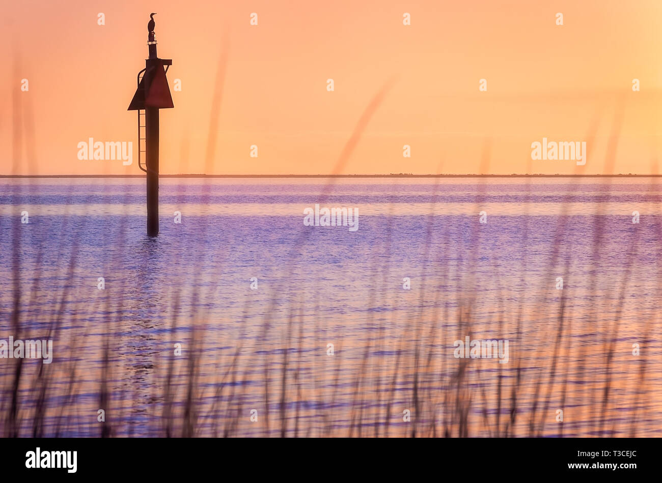 A heron sits on a day beacon as the sun sets on Coden Beach, January 13, 2017, in Coden, Alabama. Stock Photo