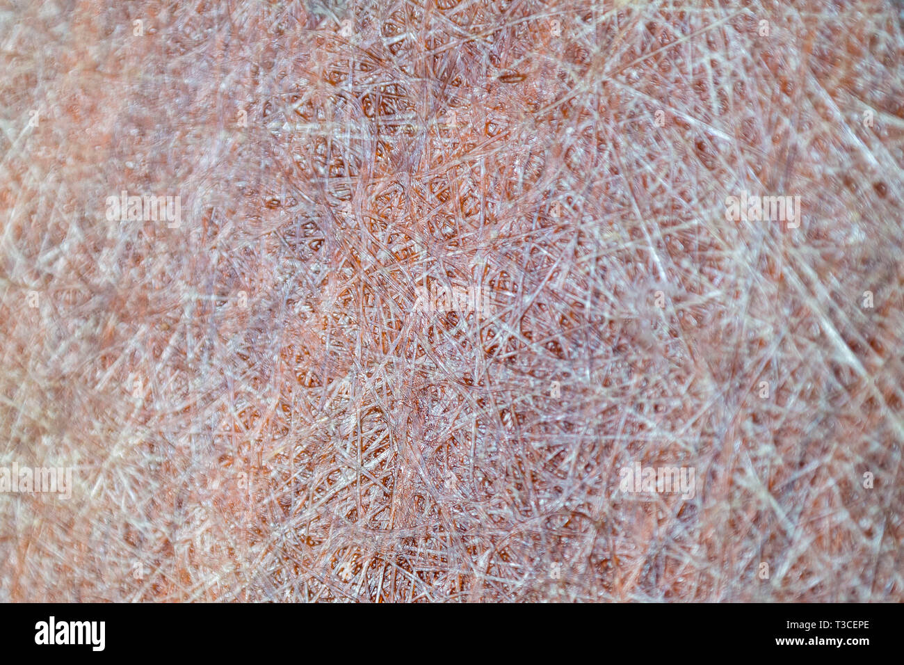Fiberglass Filament Surface Texture Background Stock Photo Alamy