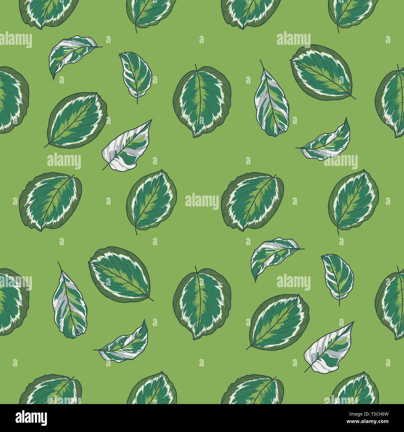 Tropical leaf seamless pattern hi-res stock photography and images - Alamy