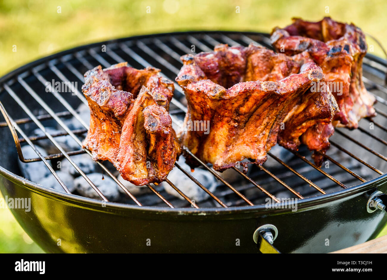 Recipe Bbq Pit Boys Grill Traeger Grill Baby Back Baby Back Ribs