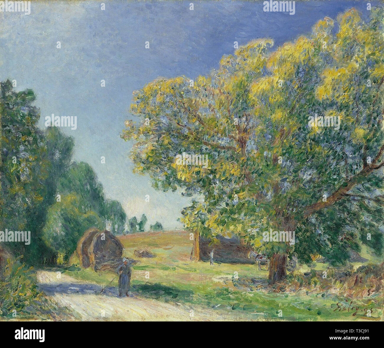 Alfred Sisley (1839 - 1899) - a forest clearing 1895 Stock Photo