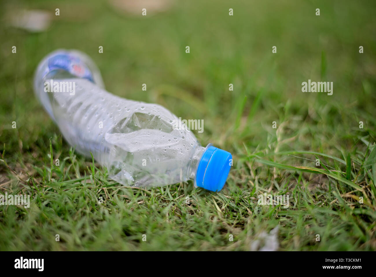 Discarded plastic water bottle on green grass field Stock Photo - Alamy