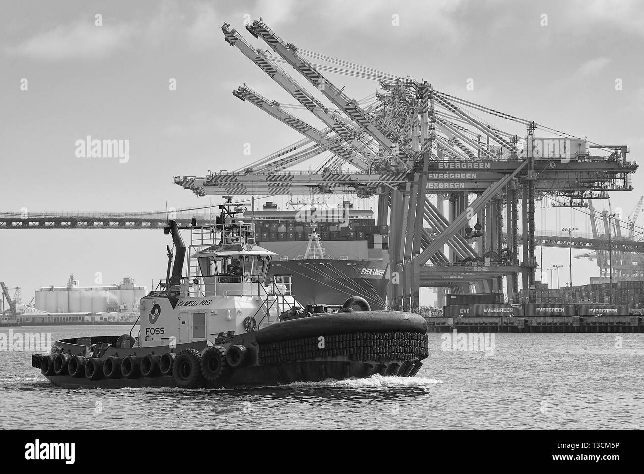 Black And White Photo Of The FOSS MARITIME Hybrid Tug CAMPBELL FOSS, Passing A Container Ship, Loading And Unloading In The Port Of Los Angeles, USA Stock Photo
