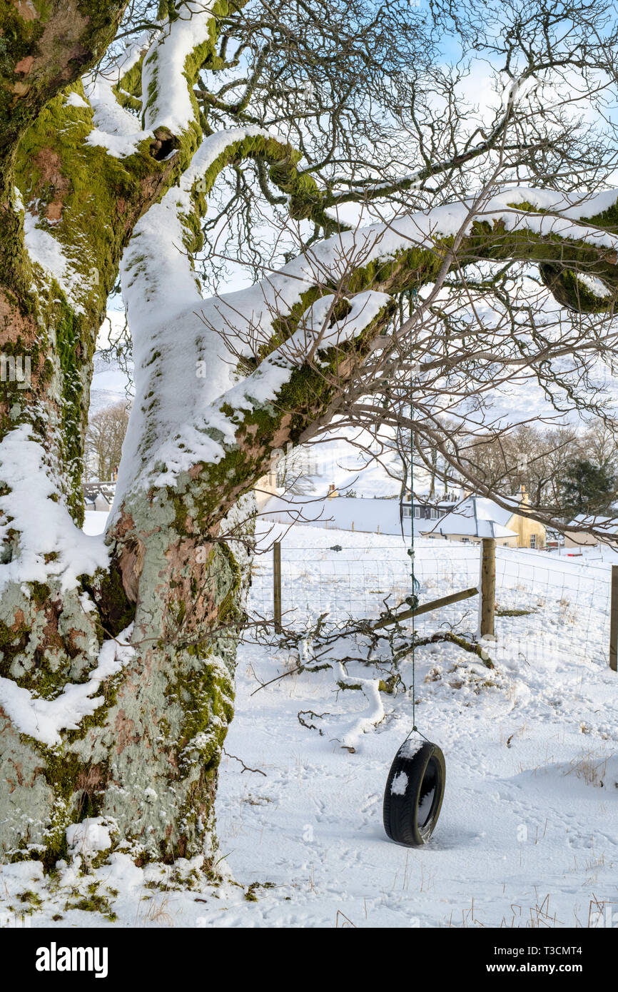 Tyre swing on a tree in Leadhills in the early morning snow. Scotlands second highest village. South Lanarkshire, Scotland Stock Photo