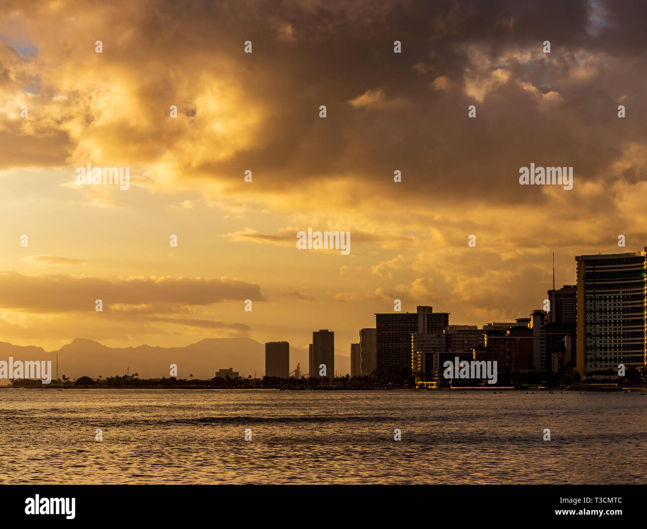 Tall palm trees of waikiki beach hi-res stock photography and images ...