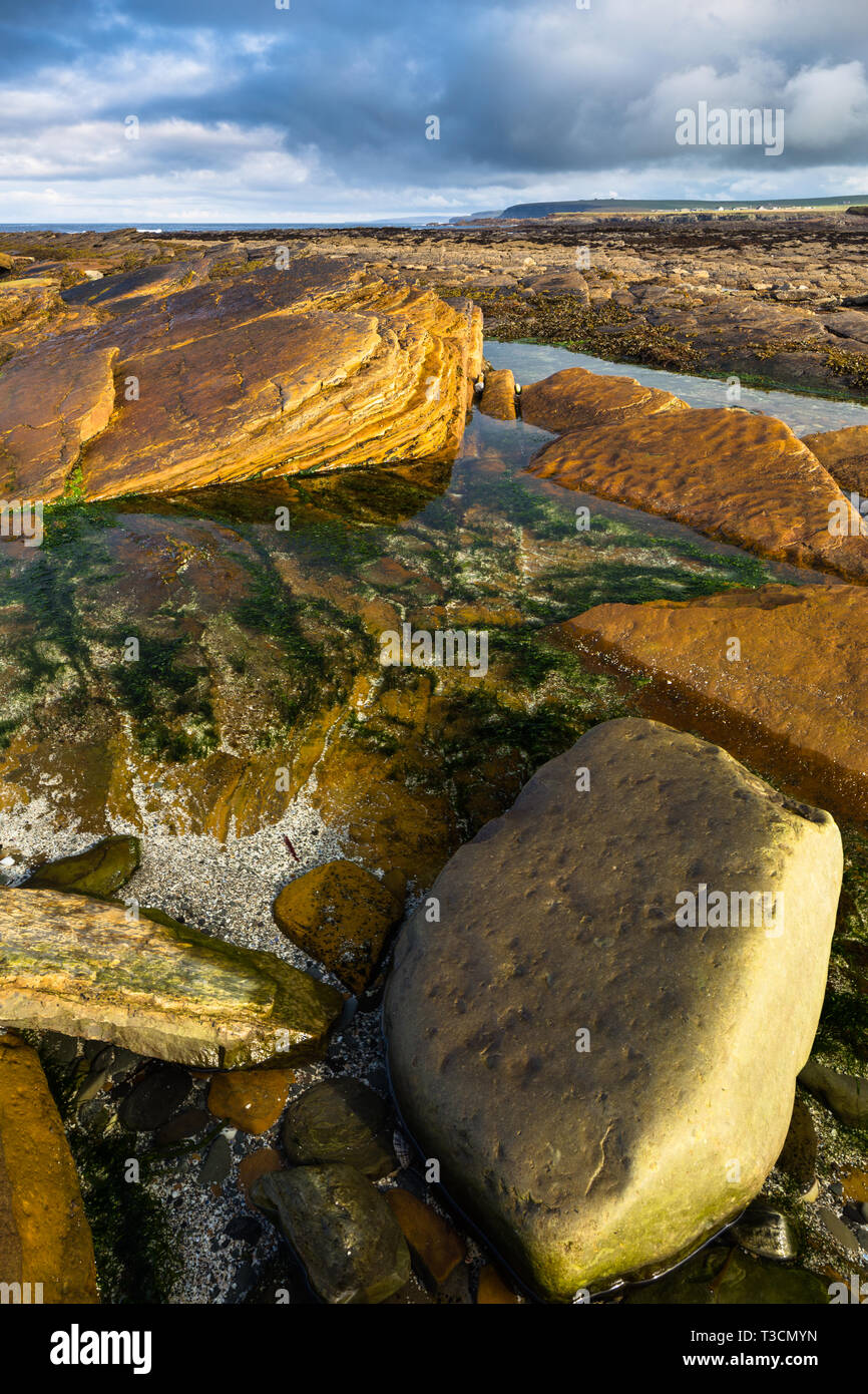Rock formation at the Brough of Birsay, Mainland, Orkney Islands. Stock Photo